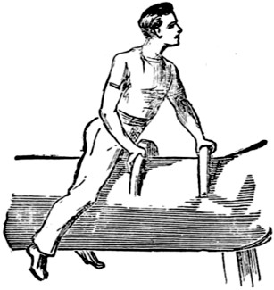 vaulting horse