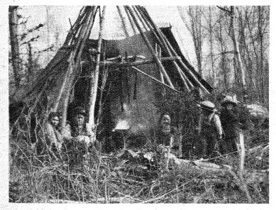 Chez eux, dans les bois