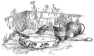 bird bath in sandbox