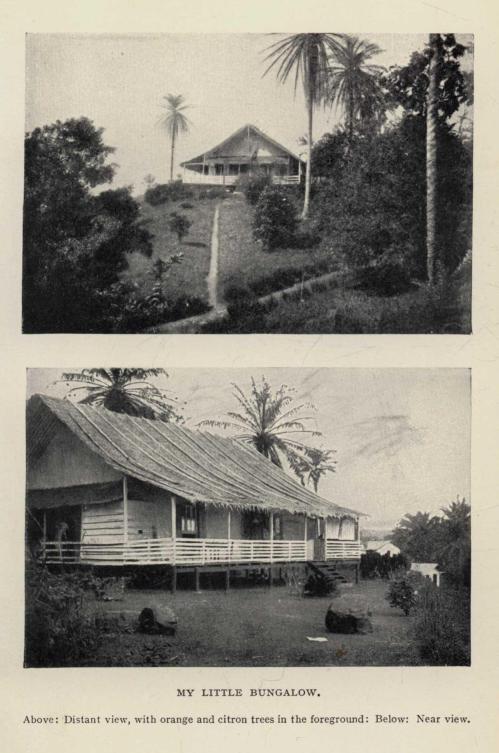 MY LITTLE BUNGALOW. Above: Distant view, with orange and citron trees in the foreground: Below: Near view.