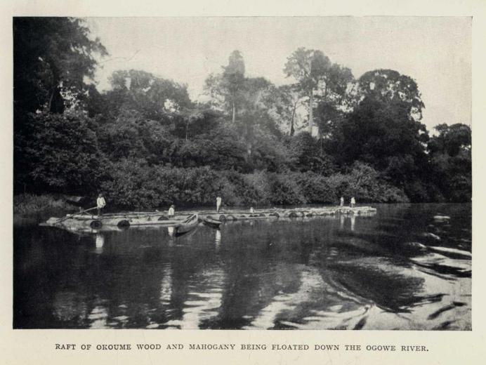 RAFT OF OKOUME WOOD AND MAHOGANY BEING FLOATED DOWN THE OGOWE RIVER.