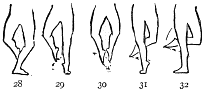 Image not available: “Jeté.” Essentials: both feet off the floor simultaneously, and receipt of the descending weight on one foot.