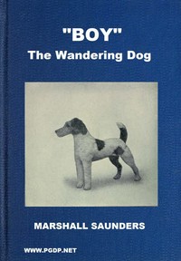 "Boy" the Wandering Dog: Adventures of a Fox-Terrier