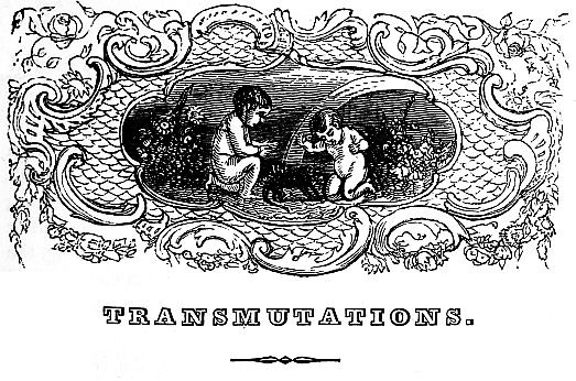 TRANSMUTATIONS. and illustration of cherubs