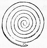 spiral flat