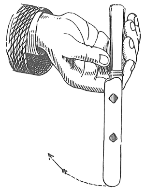 Fig. 19