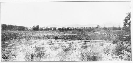 Image unavailable: BATTLEFIELD OF MAIPO NEAR SANTIAGO