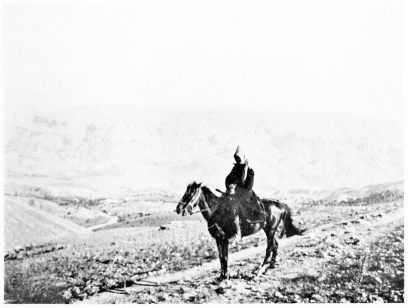 Fig. 215.—VALLEY OF THE TOKHMA SU.