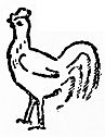 rooster