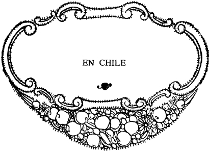 imagen no disponible: EN CHILE