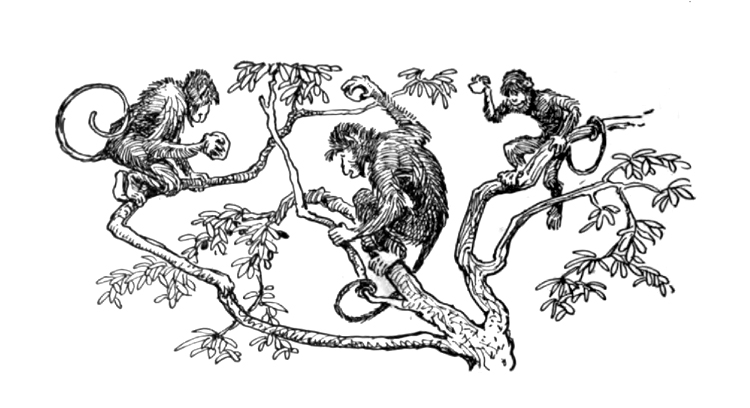 Monkeys throwing stones