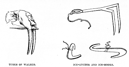 Image unavailable: TUSKS OF WALRUS. ICE-ANCHOR AND ICE-HOOKS.