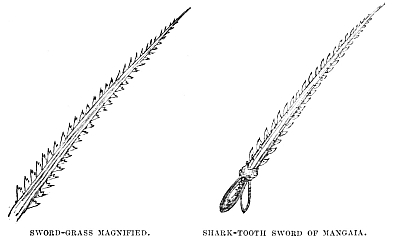 Image unavailable: SWORD-GRASS MAGNIFIED. SHARK-TOOTH SWORD OF MANGAIA.