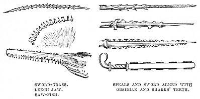 Image unavailable: SWORD-GRASS. LEECH JAW. SAW-FISH. SPEARS AND SWORD ARMED WITH OBSIDIAN AND SHARKS’ TEETH.