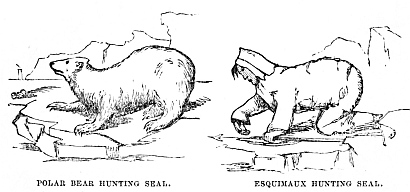 Image unavailable: POLAR BEAR HUNTING SEAL. ESQUIMAUX HUNTING SEAL.