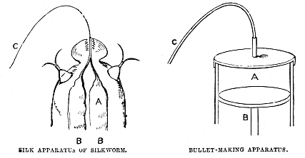 Image unavailable: SILK APPARATUS OF SILKWORM. BULLET-MAKING APPARATUS.