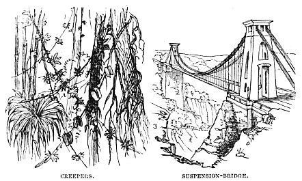 Image unavailable: CREEPERS. SUSPENSION-BRIDGE.