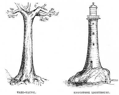 Image unavailable: TREE-TRUNK. EDDYSTONE LIGHTHOUSE.