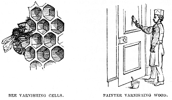 Image unavailable: BEE VARNISHING CELLS. PAINTER VARNISHING WOOD.