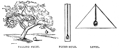 Image unavailable: FALLING FRUIT. PLUMB-RULE. LEVEL.