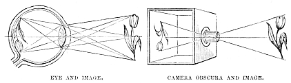 Image unavailable: EYE AND IMAGE. CAMERA OBSCURA AND IMAGE.