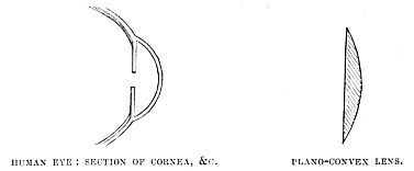 Image unavailable: HUMAN EYE: SECTION OF CORNEA, &C. PLANO-CONVEX LENS.