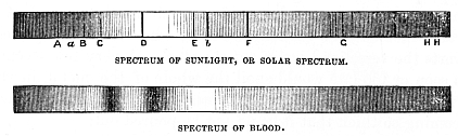 Image unavailable: SPECTRUM OF SUNLIGHT, OR SOLAR SPECTRUM. SPECTRUM OF BLOOD.