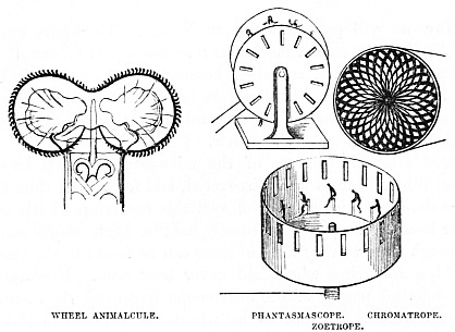 Image unavailable: WHEEL ANIMALCULE.  PHANTASMASCOPE.  CHROMATROPE.  ZOETROPE.