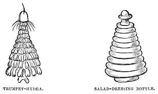 Image unavailable: TRUMPET-HYDRA. SALAD-DRESSING BOTTLE.