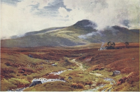 Image unavailable: A HIGHLAND MOOR