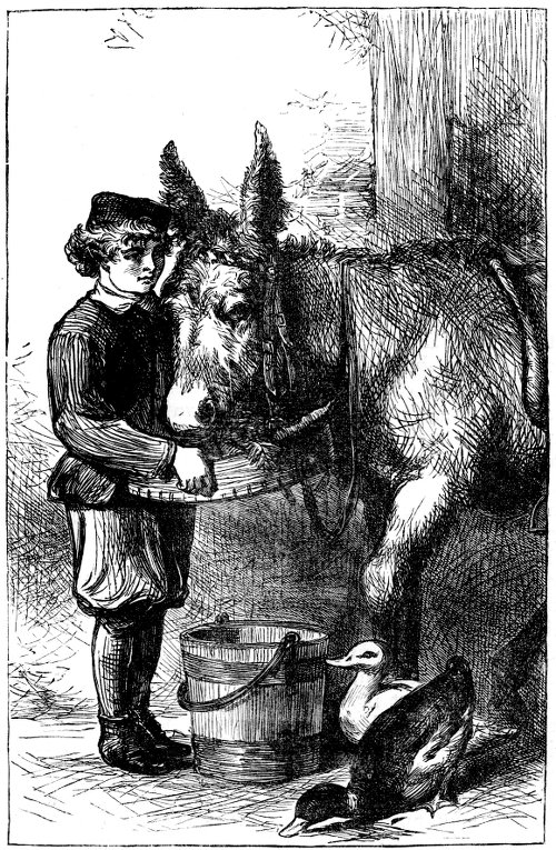 Boy and donkey