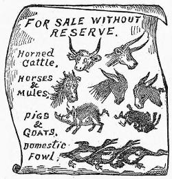 A signboard: FOR SALE WITHOUT RESERVE. Horned Cattle, Horses & Mules, PIGS & GOATS, Domestic Fowl.