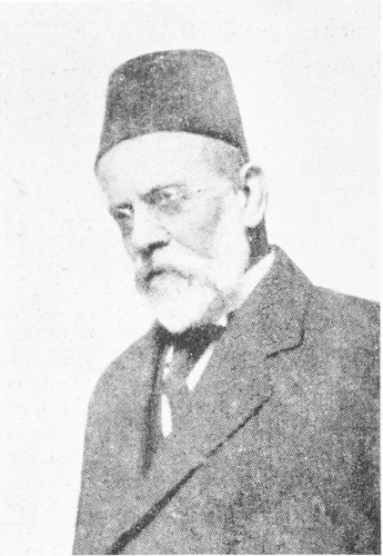 Bustány Effendi, ex-Minister of Commerce and Agriculture in the Turkish Cabinet.