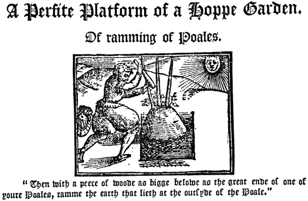   A Perfite Platform of a Hoppe Garden. |   Of ramming of Poales. |   “Then with a peece of woode as bigge belowe as the great  ende of one of youre Poales, ramme the earth that lieth at  the outsyde of the Poale.”