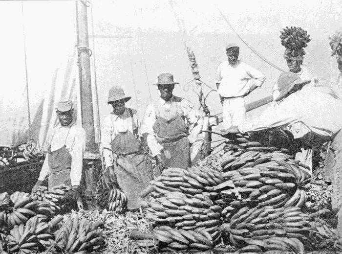 workers standing behind larges piles of bananas