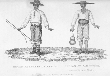 INDIAN MULETEER OF MEXICO, INDIAN OF SAN PEDRO