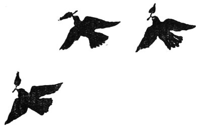 Decorative flying doves