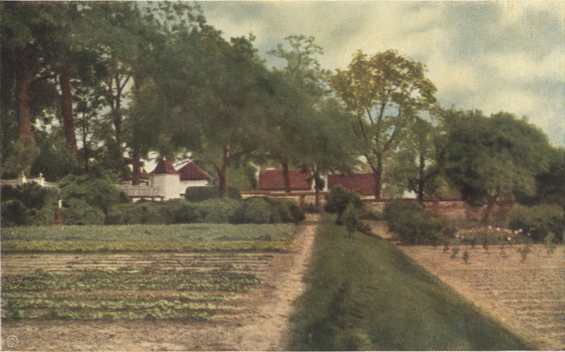 Kitchen Garden