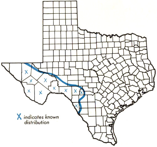 Distribution map