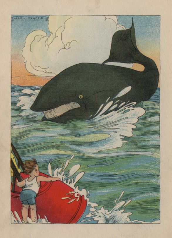 (whale)