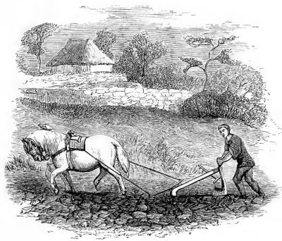 JAPANESE PLOUGHING.