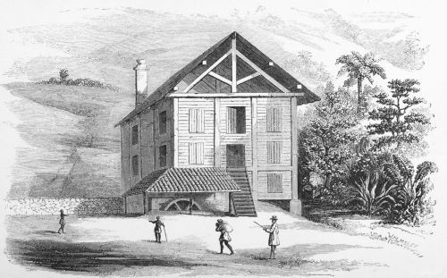 Plate 6.—The Pulping House, Messrs. Worms’ Estate, Puselawa.