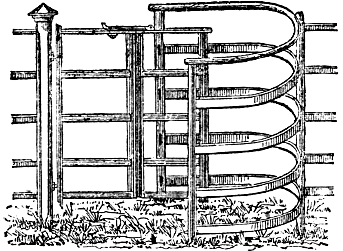 iron bow wicket