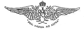 R.A.F. badge