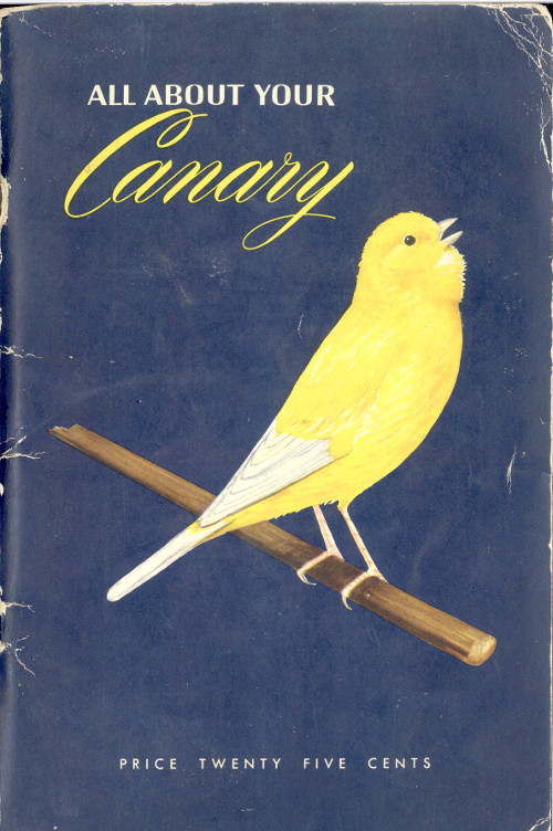 All About Your Canary