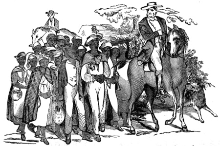 The slave-trader Walker and the author driving a gang of slaves to the southern market