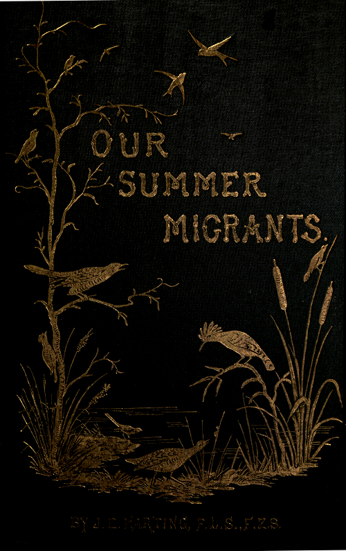 Our Summer Migrants