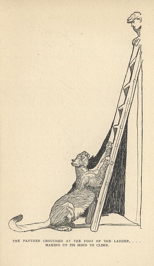 THE PANTHER CROUCHED AT THE FOOT OF THE LADDER, MAKING UP ITS MIND TO CLIMB.