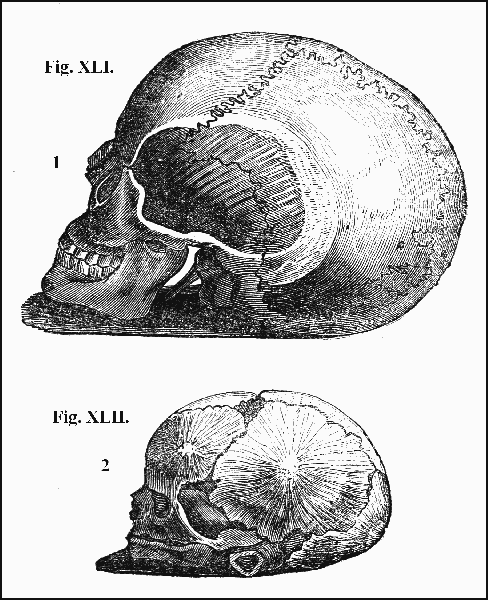 Fig. XLI and Fig. XLII.