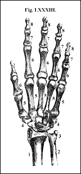 Fig. LXXXIII.